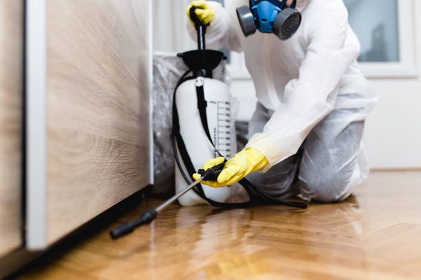 Best Affordable Pest Control Services  in Atkins, IA