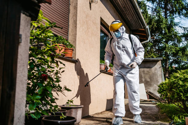 Best Residential Pest Control  in Atkins, IA