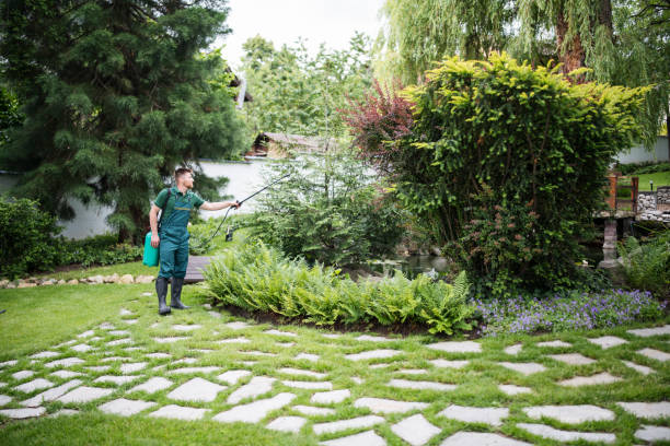 Best Affordable Pest Control Services  in Atkins, IA