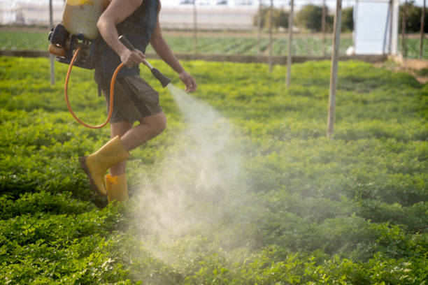 Best Mosquito Control Services  in Atkins, IA