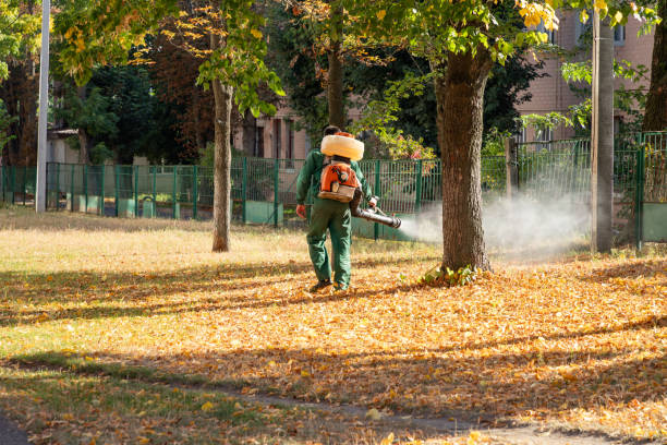 Best Pest Removal Services  in Atkins, IA