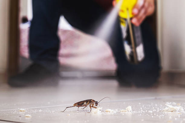 Best Exterminator Services  in Atkins, IA