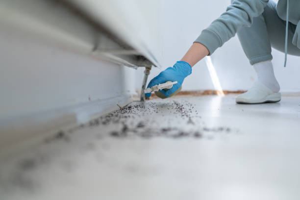 Best Cockroach Control Services  in Atkins, IA